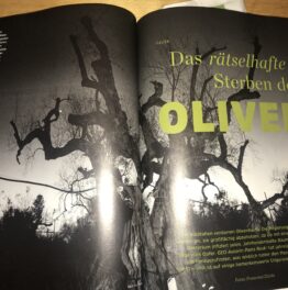 Das rätselhafte Sterben der Olivenbäume (GEO 12/2019)